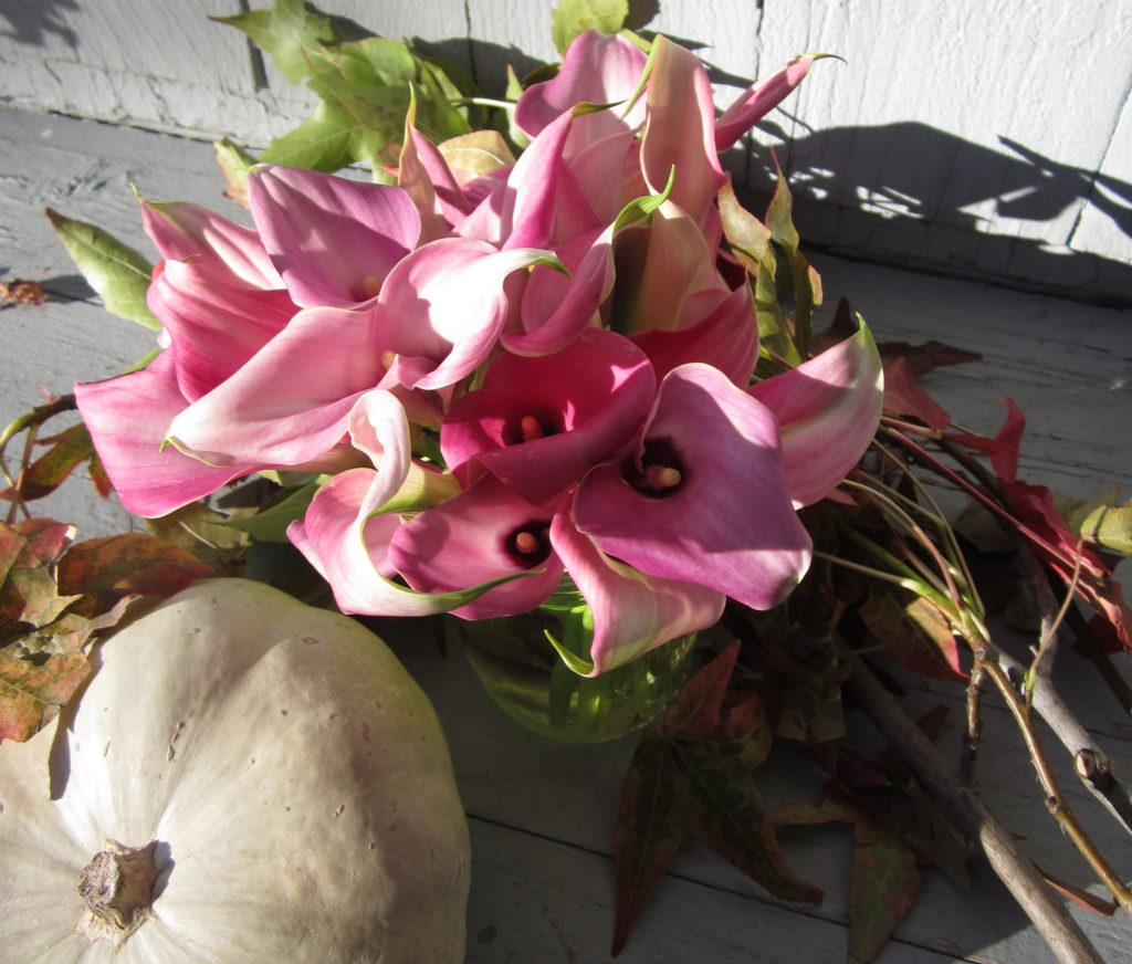 Mauve calla lilies with white pumpkins