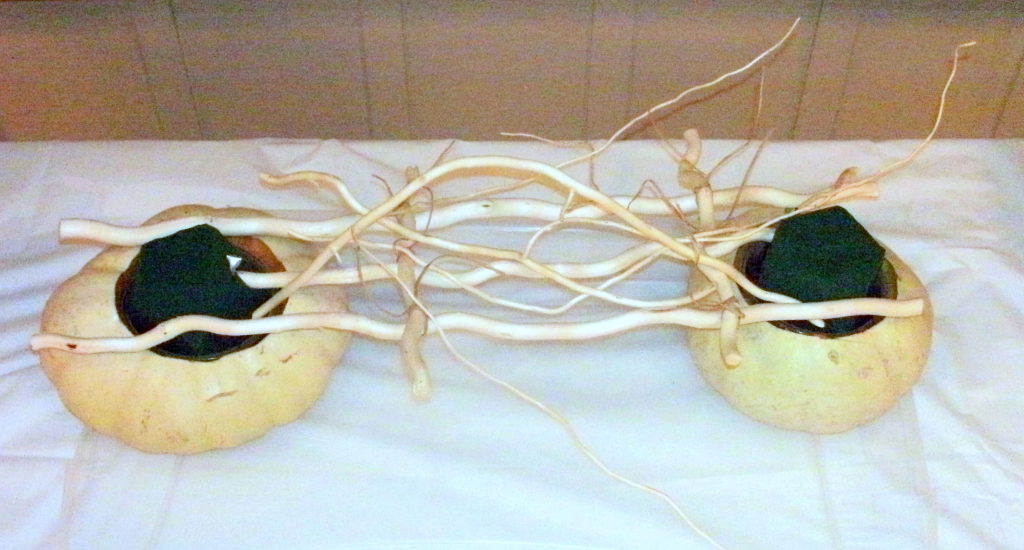 Armature with white pumpkins