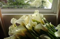 Recent Success Story