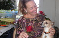 designing with my dog…