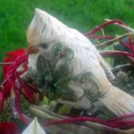 Millicent’s Legacy: be the Best Charity – Love & a Life Well Lived