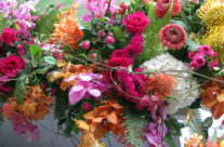 Seeds, Beads and Blessings