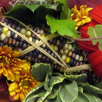 What’s your favorite veggie?!