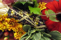 What’s your favorite veggie?!